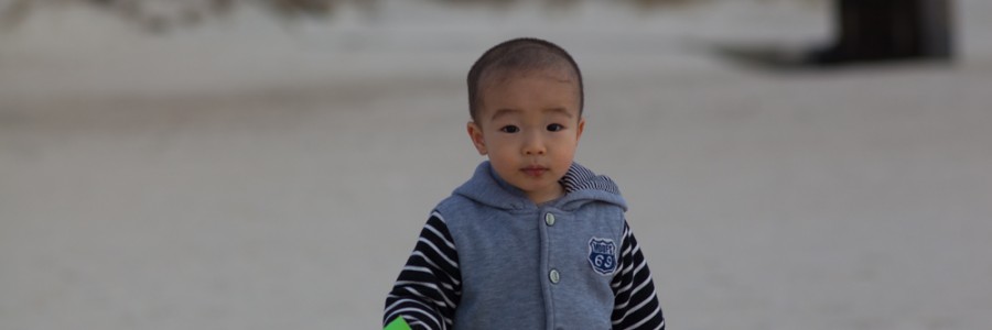 2015年
